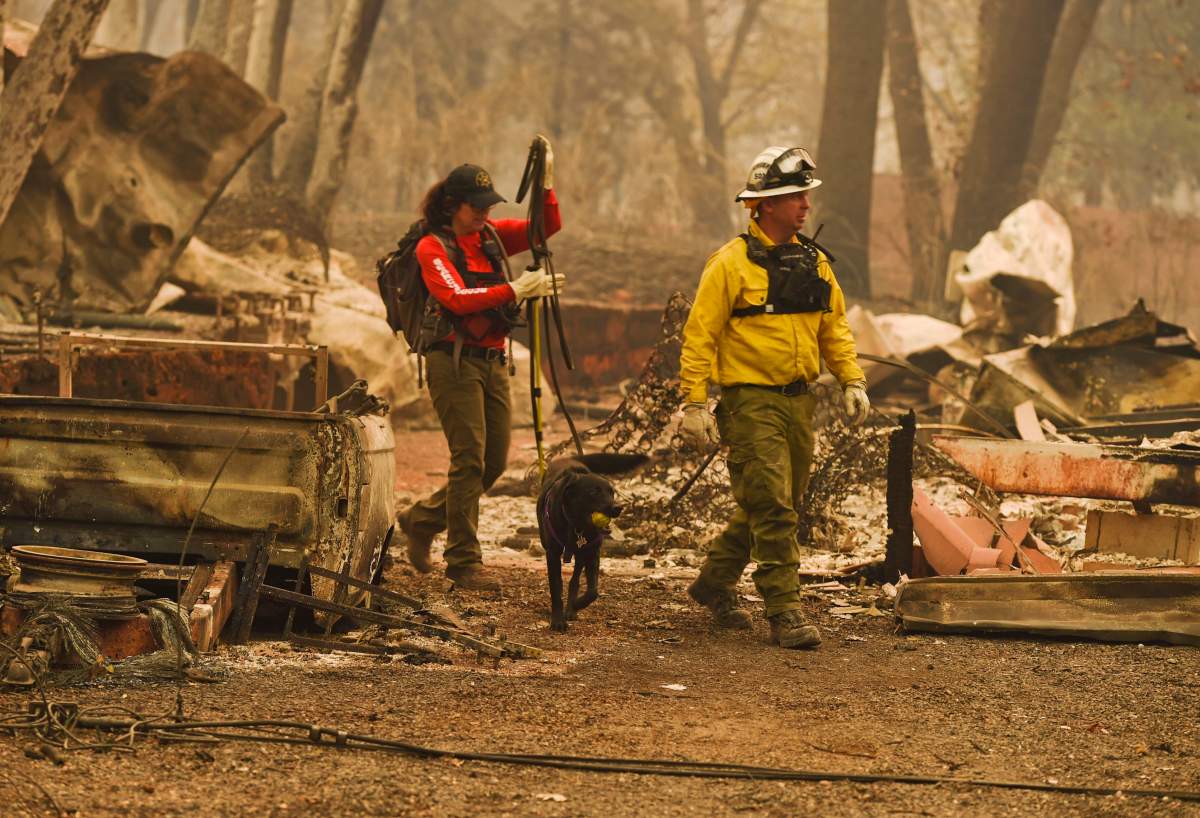 Butte County Search and Rescue worker Noelle Francis, left, and search dog Spinner look through the ashes for survivors and remains after a wildfire ravaged the area, at Skyway Villa Mobile Home and RV Park in Paradise, Calif., Monday, Nov. 12, 2018. (Hector Amezcua/The Sacramento Bee via AP)