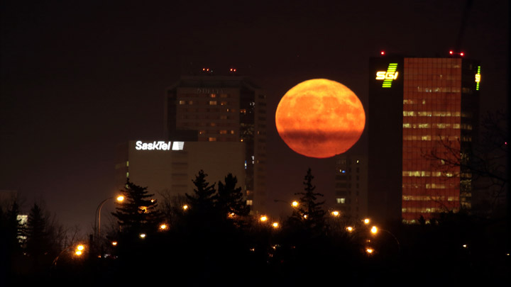 The Nov. 12 Your Saskatchewan photo was taken by Vaughn Williams in Regina.