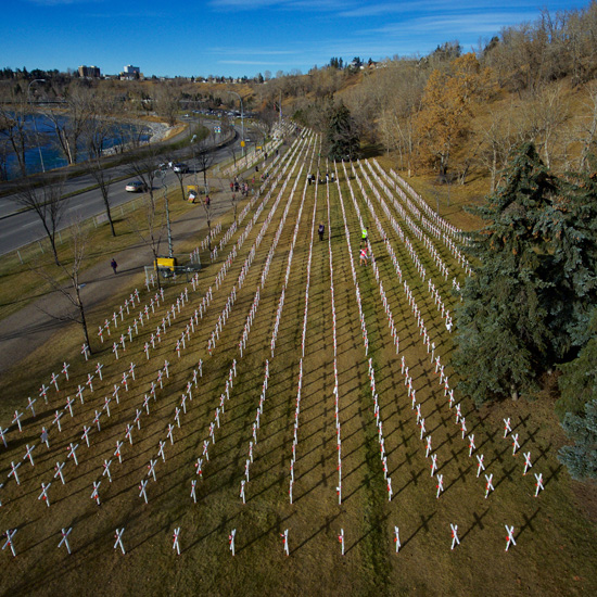 Field of Crosses - image