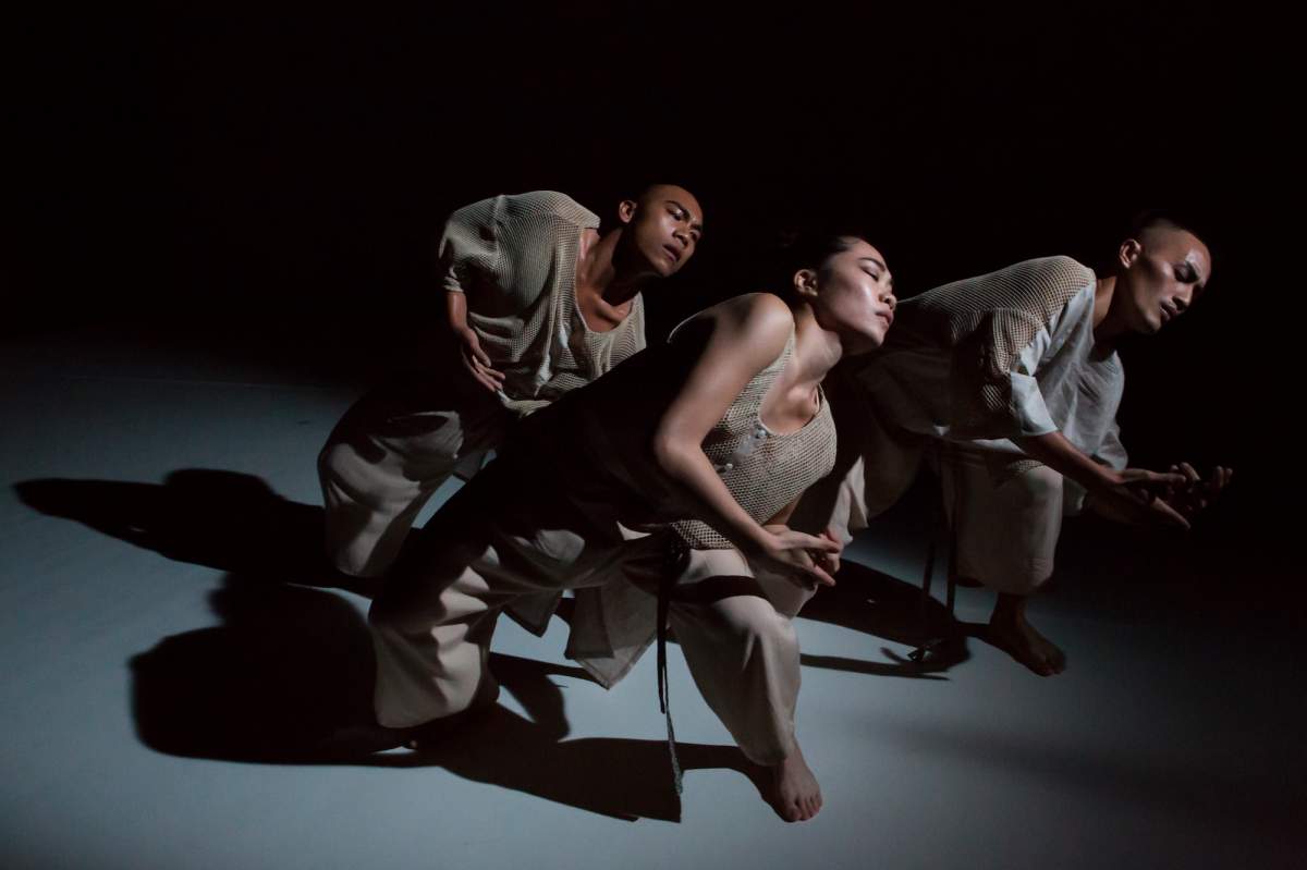 Vancouver International Dance Festival — March 8–30, 2019 - image