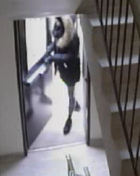 Halton police are working to identify three suspects in a string of break-ins in Oakville, Ont.