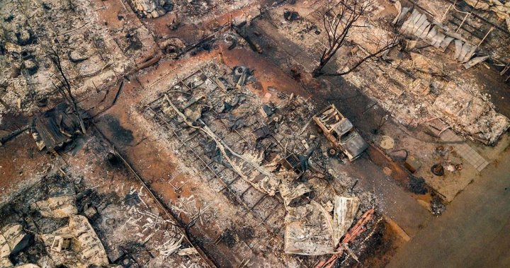 Photos Show Paradise, California, One Year After Camp Fire Devastation