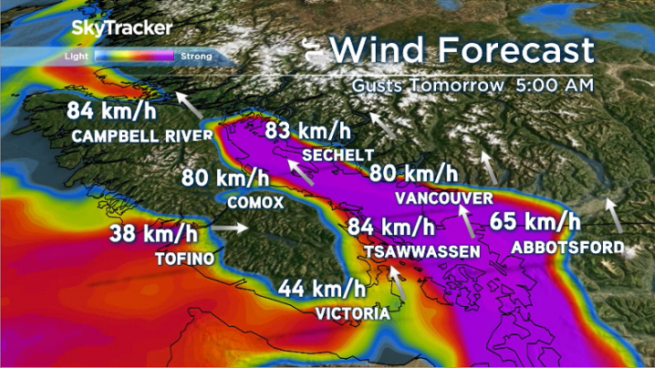 Atmospheric river brings heavy rain to B.C.’s south coast - BC ...