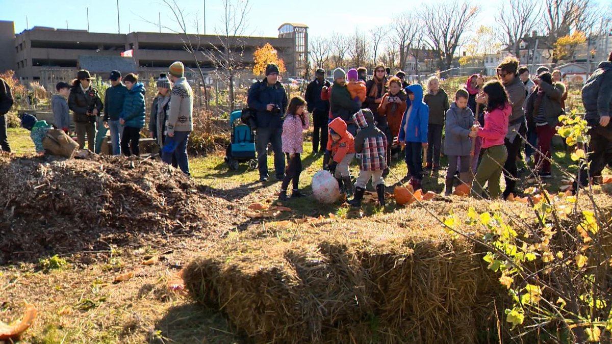 Seven years and 45,000 pounds of food later, Common Roots Urban Farm has a new home.