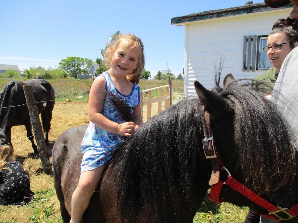 MaCali Cormier is shown in this undated handout photo. The four-year-old girl who died in a tragic accident at a Christmas parade is being remembered as a child who "loved helping other people" and had a passion for learning. MaCali Cormier died Saturday night after she fell under the wheels of a float during the annual Parade of Lights in Yarmouth, N.S.