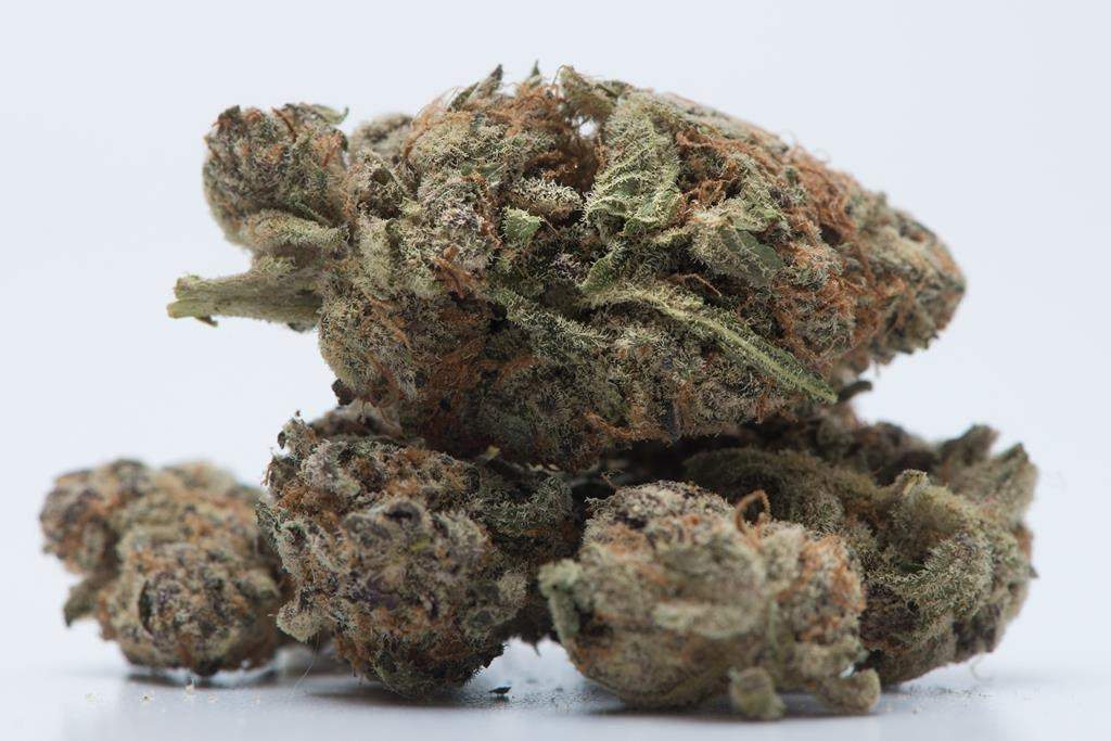 A Lansdowne man was given two tickets after allegedly admitting that he bought cannabis on Tyendinaga Territory.