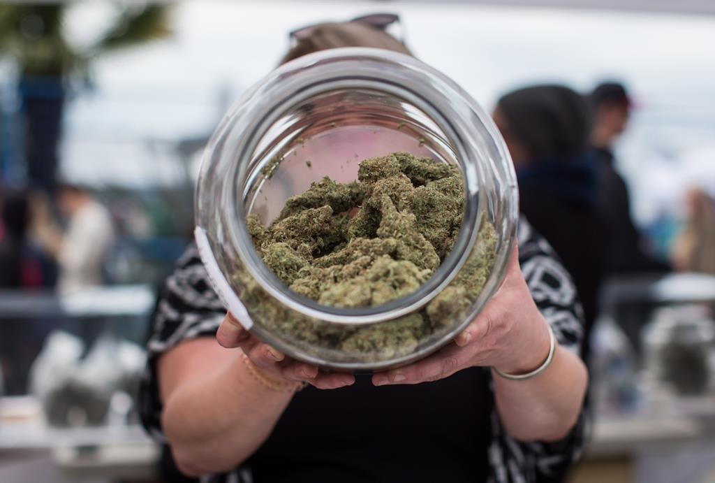 A vendor displays marijuana for sale.