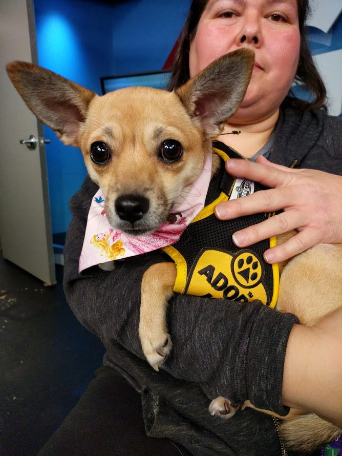 Dayna is looking for her new family.