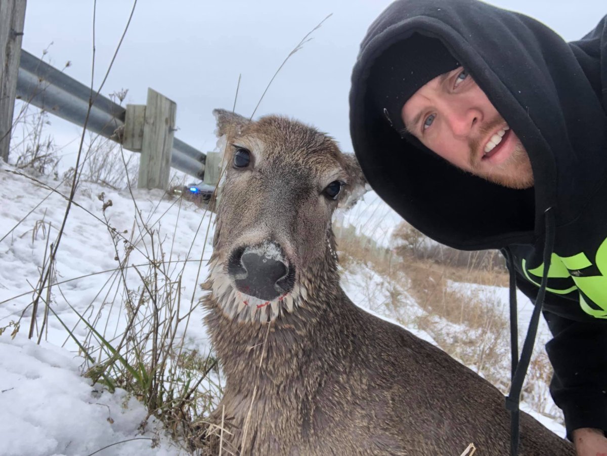 Thomas Christopher and his partner Stephanie rescue a deer from Pigeon River in Omemee, Ont., on Sunday.