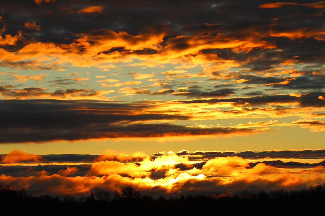 Winnipeg, Manitoba.