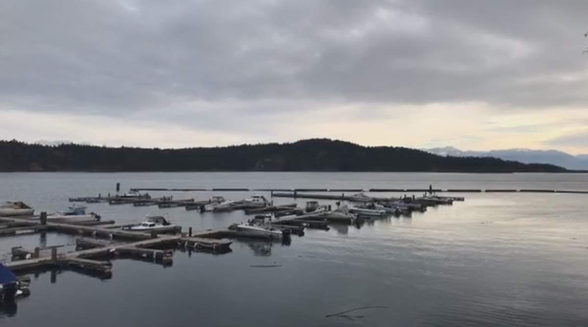 The dock Shannon Burnside fell off of at the Cheanuh Marina. She was at the furthest end of the dock when the accident happened.