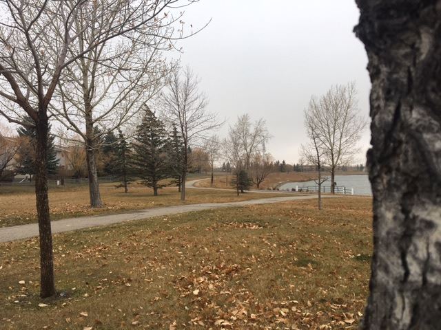 A student was injured by a dog on a pathway behind Joe Clark School in High River on Tuesday. 