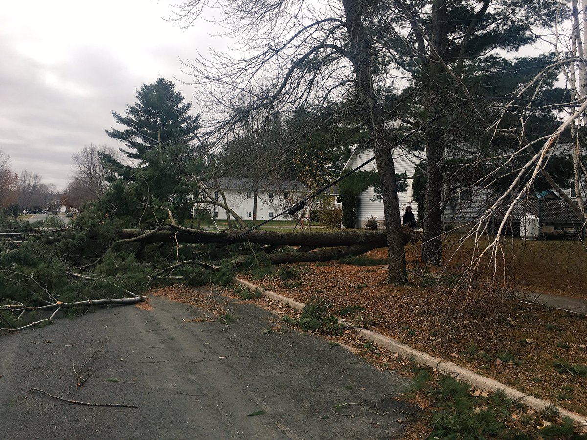 A fallen tree is among the damage in Fredericton following this past weekend's storm.