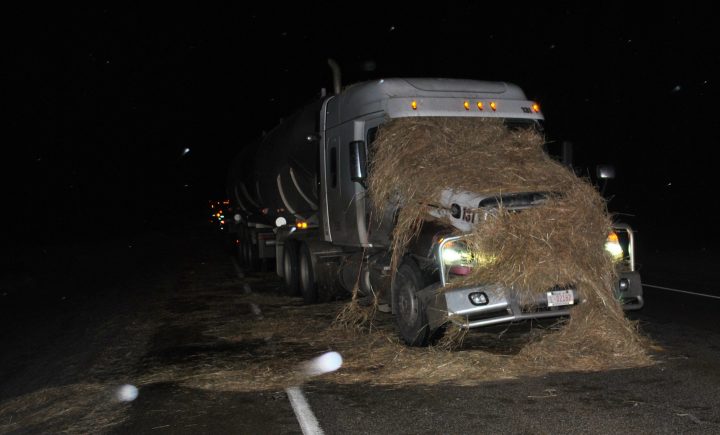 No one was injured after a semi-trailer truck crashed into a bale of straw five kilometres south of New Sarepta, Alta., on Saturday.
