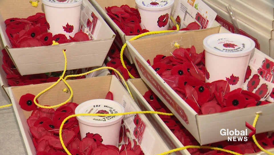 Man arrested after poppy donation box stolen in Scarborough - image