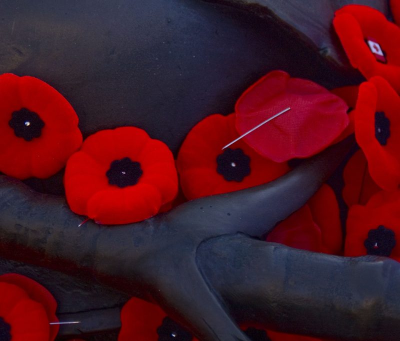 Canada’s Remembrance Day Ceremonies Mark 100-year Anniversary Of First ...