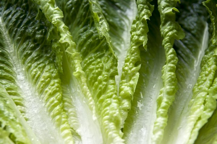There is an E.coli outbreak related to romaine lettuce.