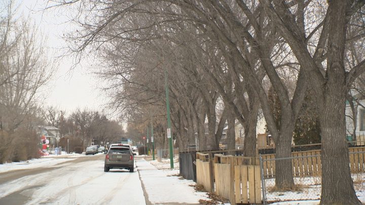 The Regina Police Service were dispatched Saturday night to a residence in the 1600 block of Montague Street for a report of gunshots.