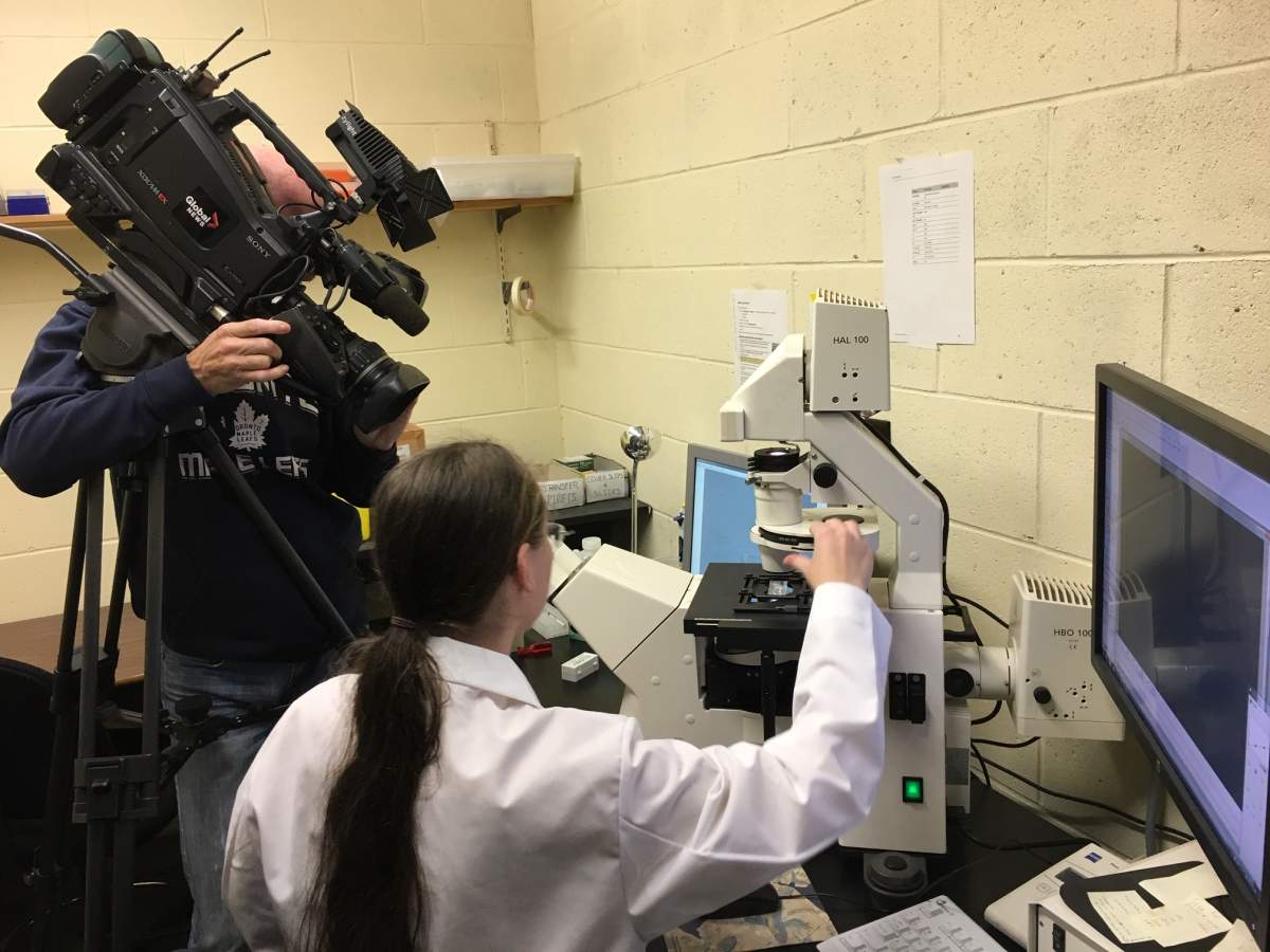 A dirt sample taken from a wilderness area outside Halifax has led scientists at Dalhousie University to discover a new branch on the evolutionary tree of life.