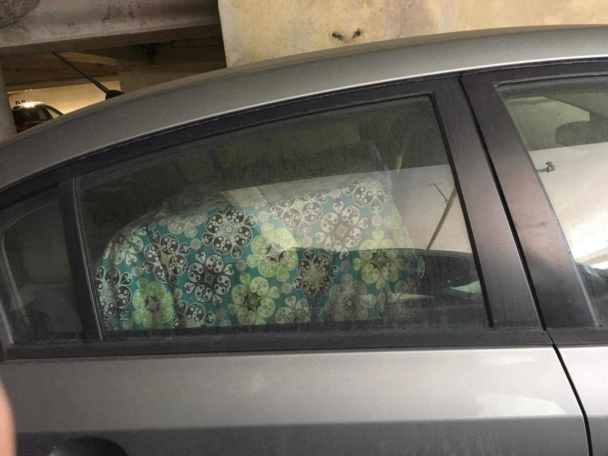 A blanket had been placed over the kennel in the back seat of the car, which prevented the public from being able to see the dog.