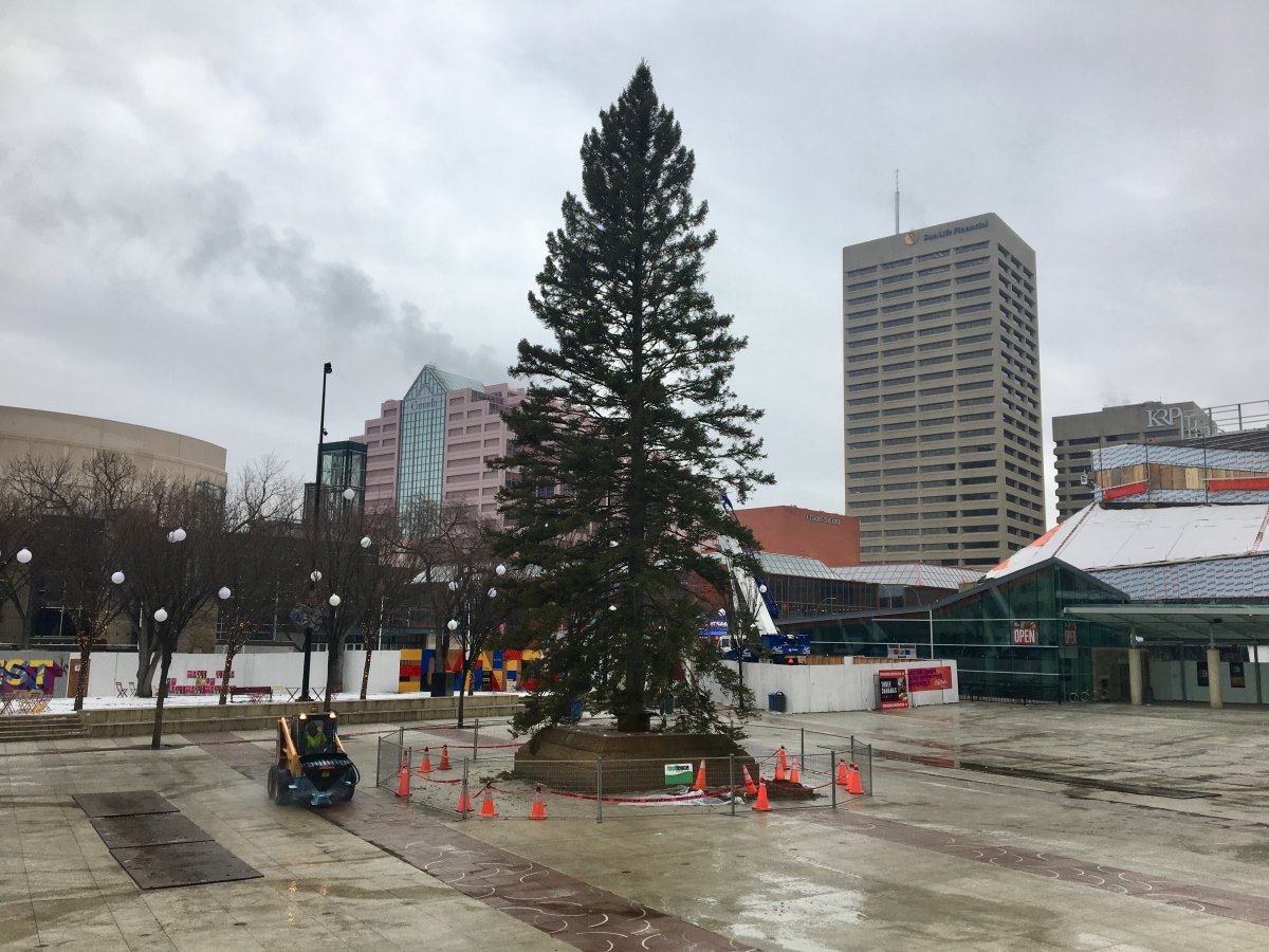 This 65-foot Christmas tree will be lit up with around 14,000 lights on Nov. 16 to mark the beginning of the holiday season in Edmonton. 