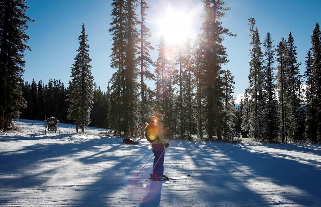 A skier passes trees on a ski run at Lake Louise ski resort in Lake Louise, Alta., Saturday, Nov. 24, 2018.