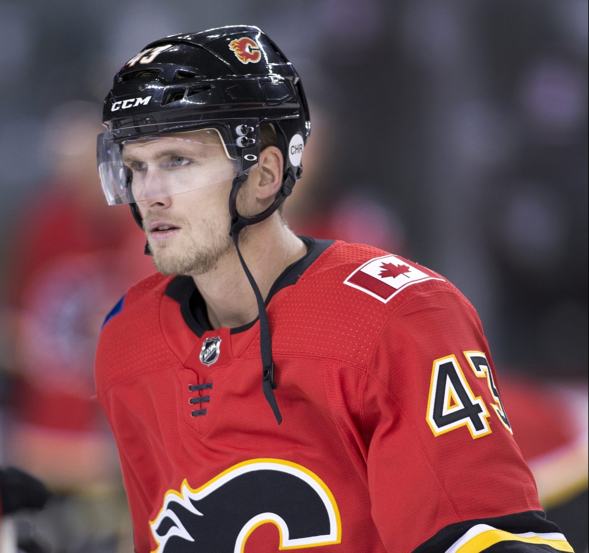 NHL player profile photo on Calgary Flames player Justin Falk during a game against the San Jose Sharks in Calgary, Ab. on Tues., Sept. 25, 2018.  The 30-year-old defenceman signed a one-year, two-way deal with the Ottawa Senators on Friday.