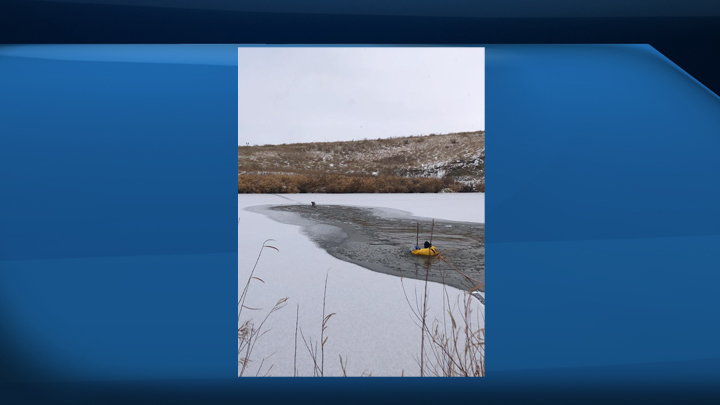 Moose Jaw Fire Department Rescue Deer That Fell Through Ice | Globalnews.ca