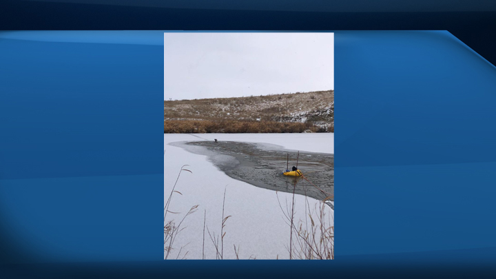 The Moose Jaw Fire Department rescued a deer that fell through the ice in Wakamow Valley on Nov. 7. 