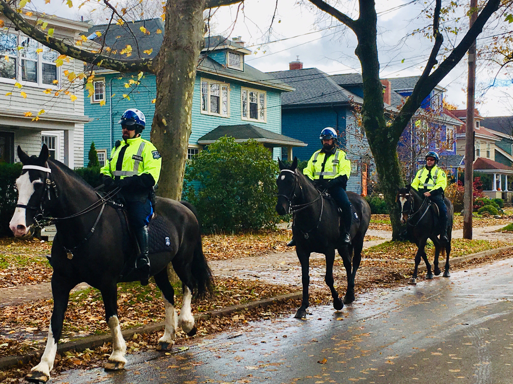 Sarge, Valour and the unnamed horse that serve as a member of the Halifax Regional Police's mounted unit appear in an undated handout photo. 