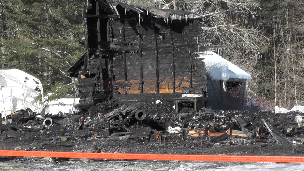 Several pets died as fire destroyed a home in North Kawartha Township on Wednesday night.