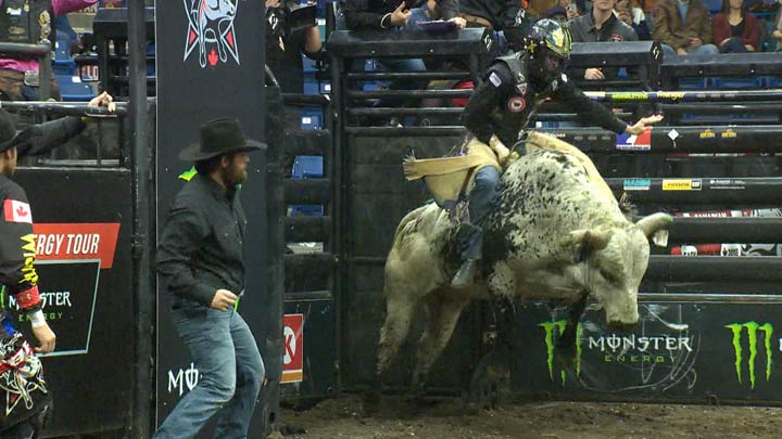 A bull rider competes at the 2019 PBR Canada Finals in Saskatoon.