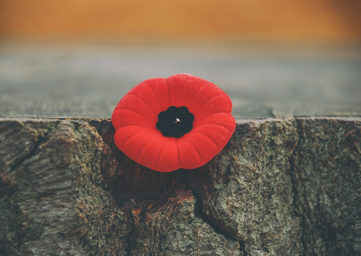 Why might you want to consider wearing a poppy? Possibly to recognize the personal bravery, honour, loyalty and determination of veterans, Roy Green says.