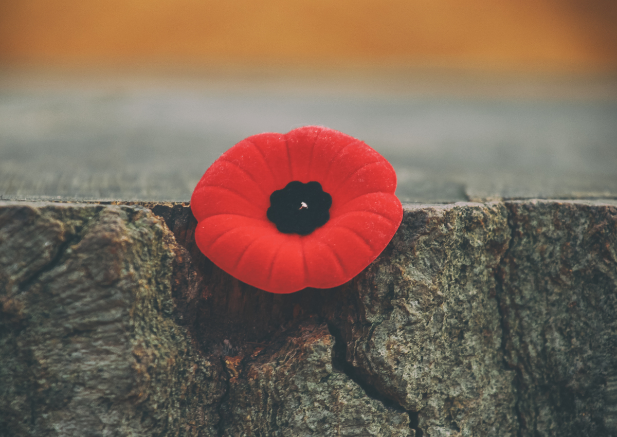 Roy Green: A Remembrance Day poppy for your thoughts - National |  Globalnews.ca