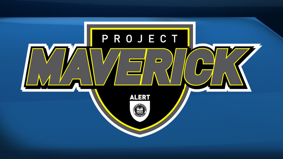 Project Maverick logo.