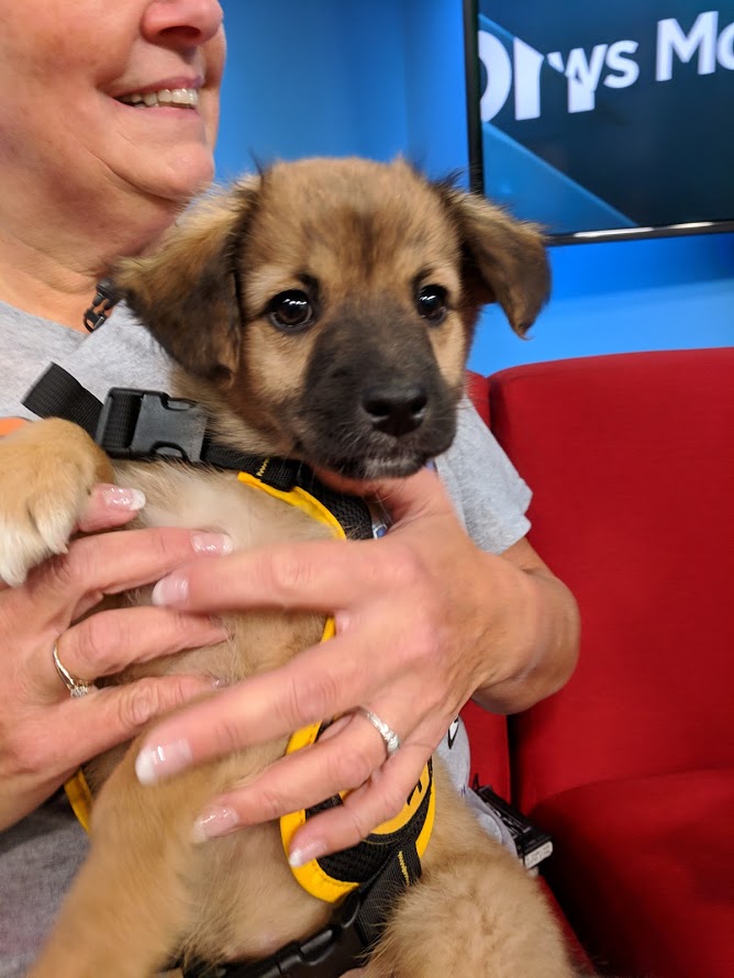 Scott is looking for a new cuddle buddy.