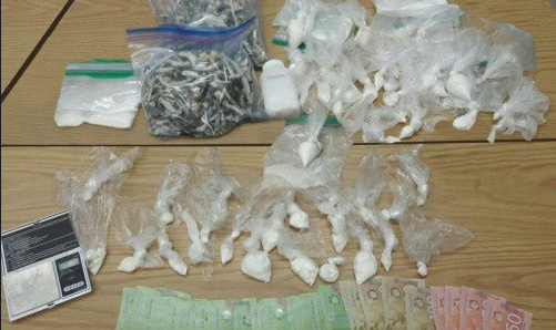 Police executed three search warrants and seized $40,000 worth of drugs in Hamilton. 