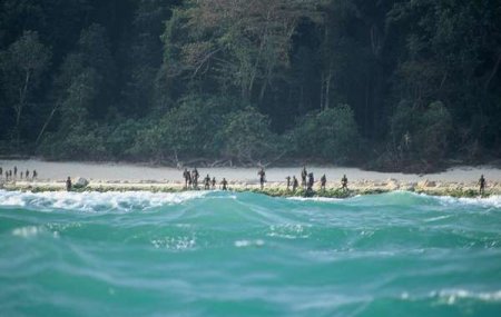 North Sentinel tribe could be endangered by attempts to recover