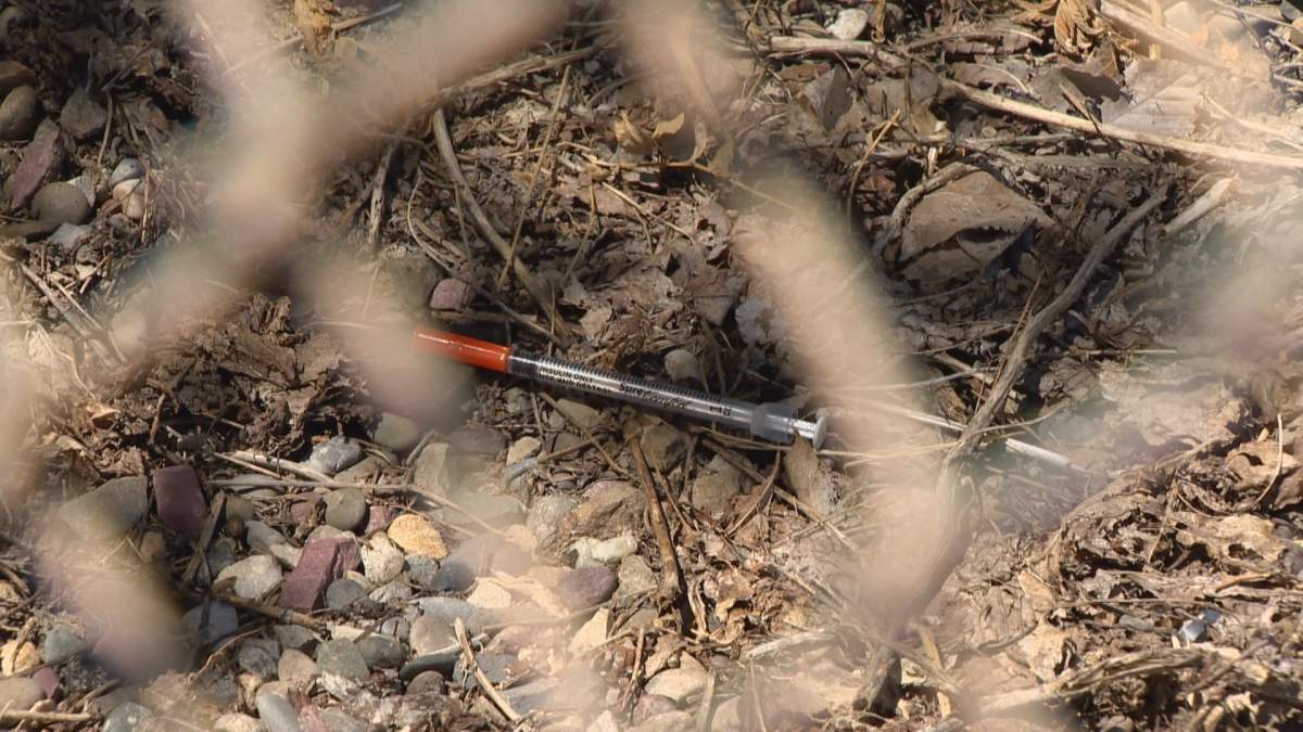 A collection strategy saw more than 20,000 needles picked up from Lethbridge and surrounding areas in October.