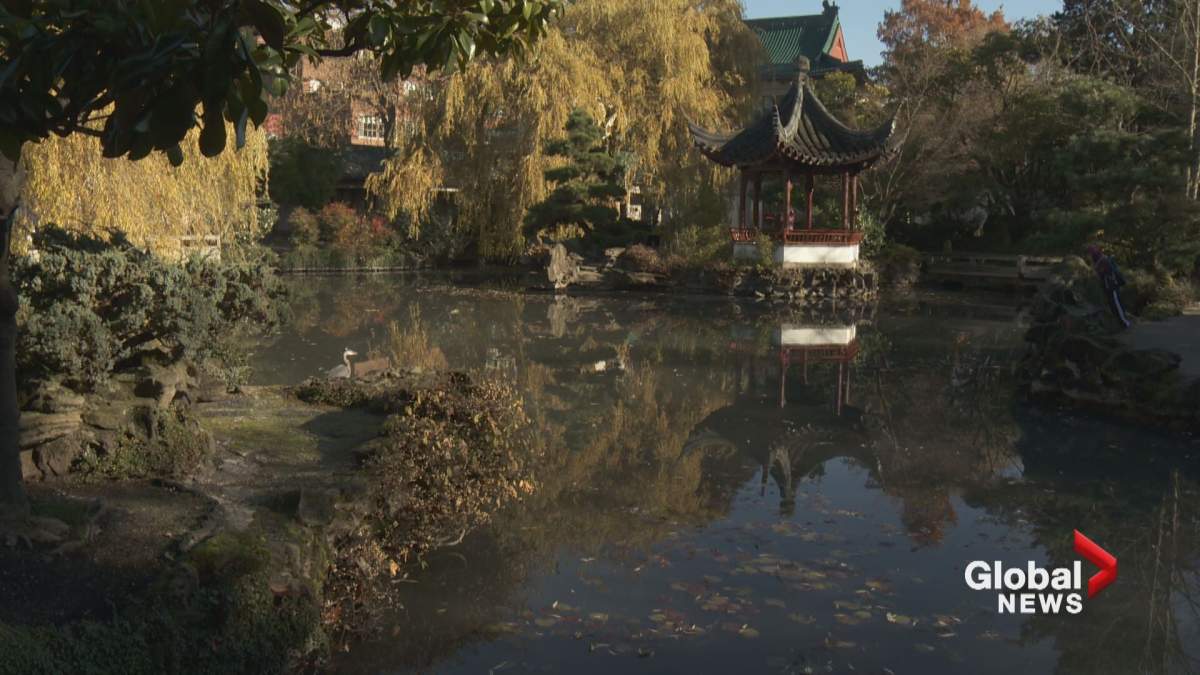 The Dr. Sun Yat-Sen Garden Monday. Credit: Global News