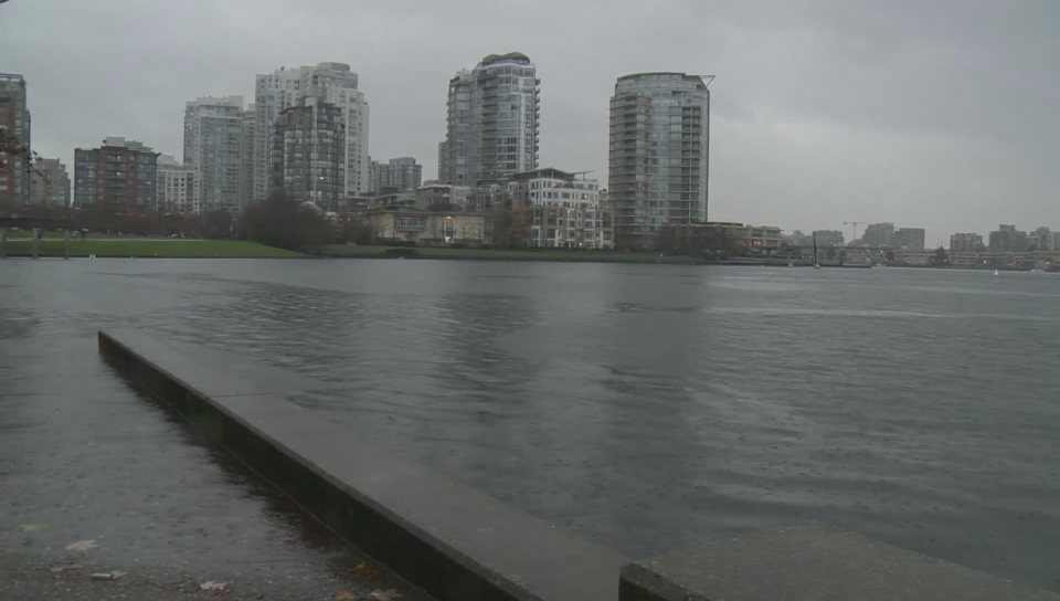 Wind warning issued for Metro Vancouver - image