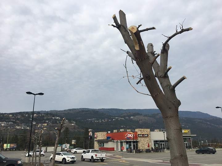 The company that runs the shopping centre offered no comment when asked by Global News about the pruning.