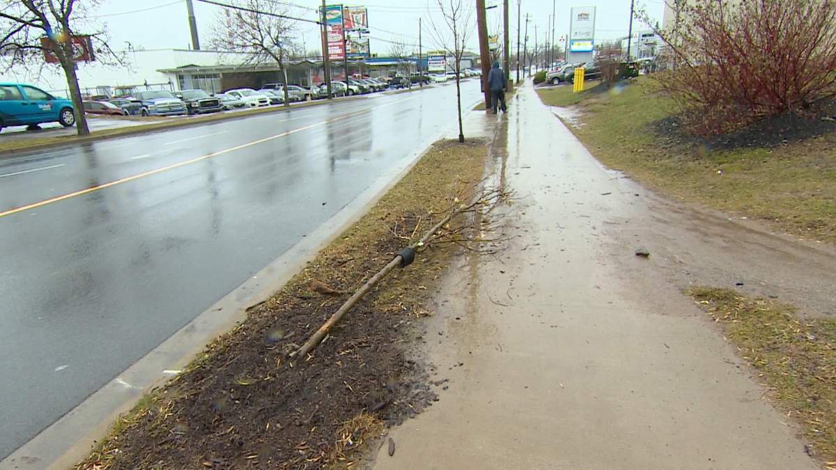 A vehicle had reportedly struck a tree at the intersection of Wyse Road and Albro Lake Road in Dartmouth on Nov. 26, 2018.