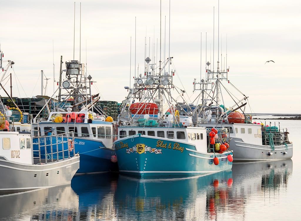 Fishing Area 34 is one of the most lucrative lobster fishing areas in the province.