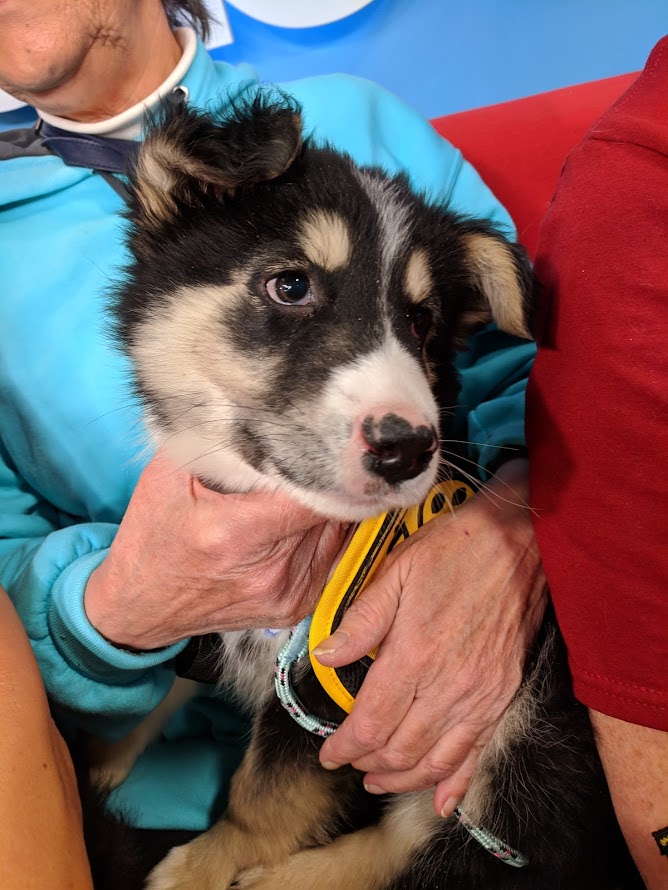 Zach is looking his new home and got some attention by appearing on Global News Morning.