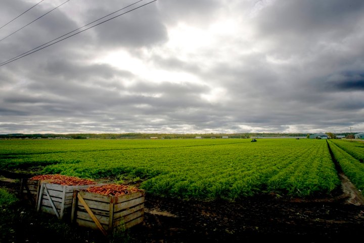 ontario-greenbelt-news-videos-articles