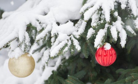 No Christmas Day snowfall for most Canadian cities, forecasts show ...