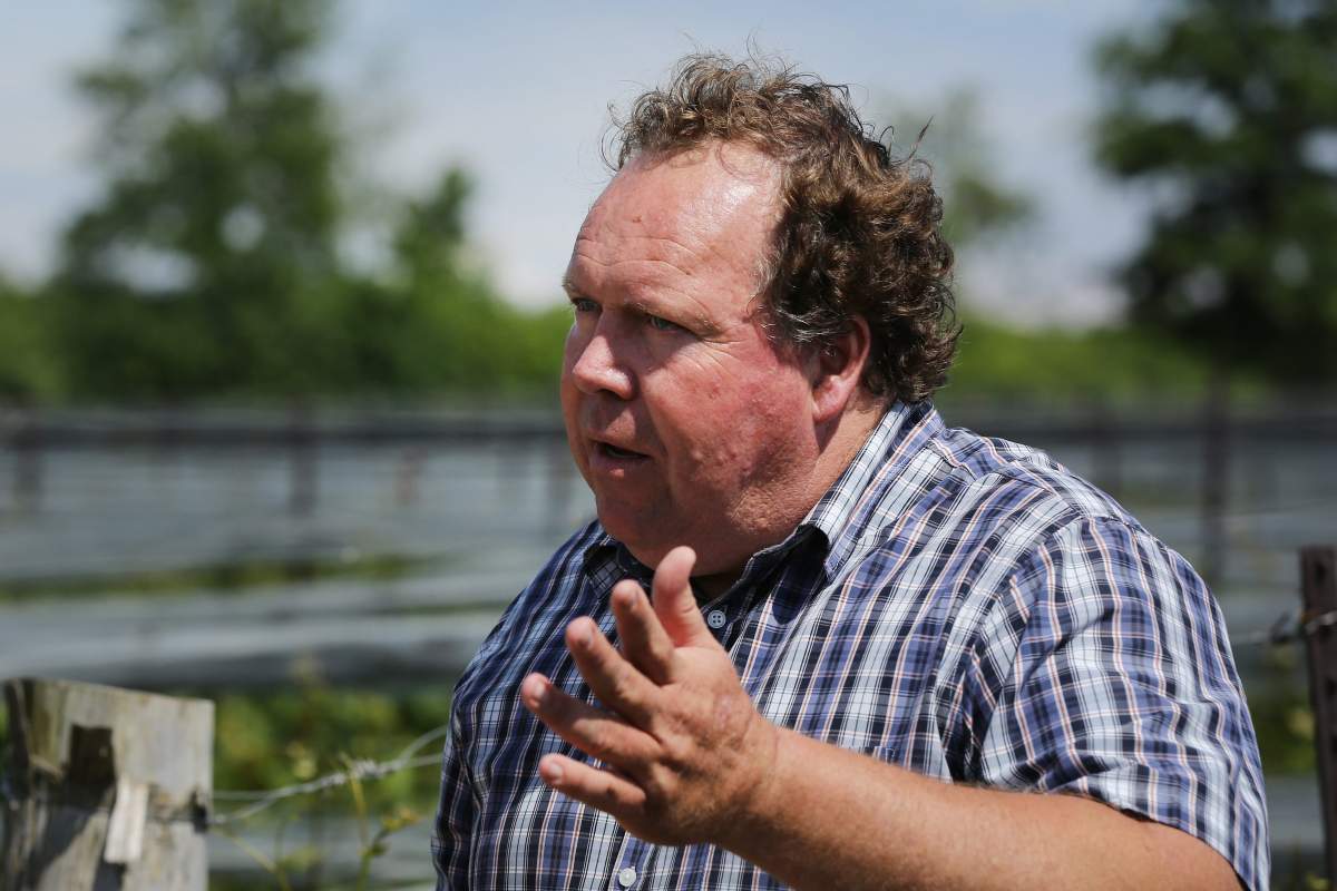 Norman Hardie of Norman Hardie winery in Wellington, Ont., on Friday, June 30, 2017. 