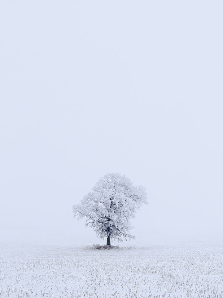 Katie Miller took the Jan. Your Saskatchewan photo near Esterhazy.