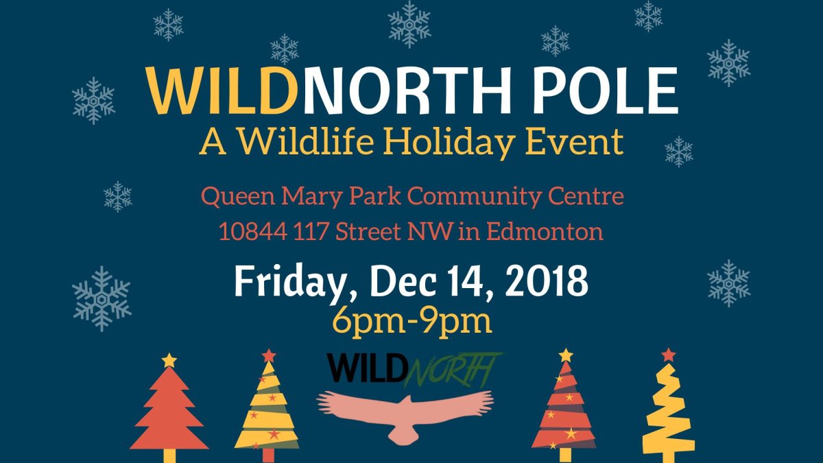 WILDNorth Pole – A Wildlife Holiday Festival - GlobalNews Events